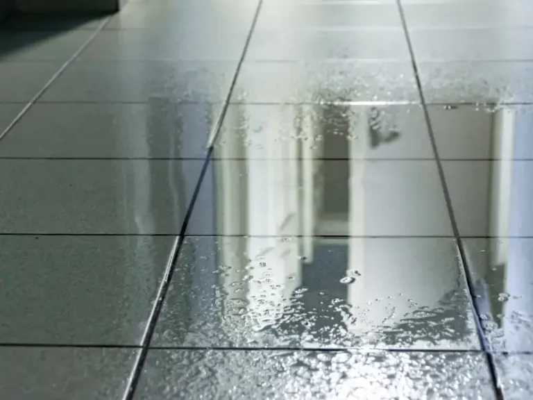Water pooled on tiled floor reflecting a window and wall.