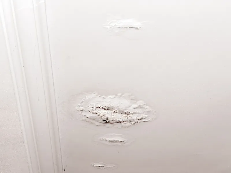 Water-damaged ceiling with peeling and bubbling paint.